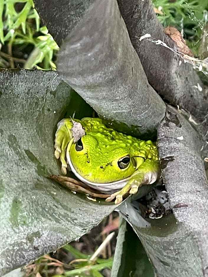 Sandy Bay Holiday Park