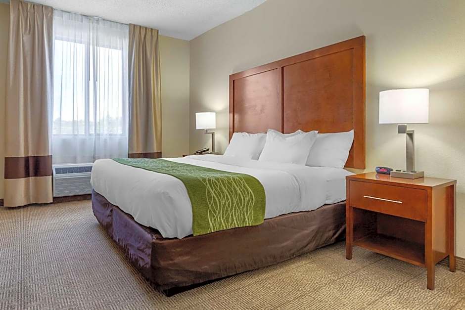 Comfort Inn & Suites Lenoir Hwy 321 Northern Foothills