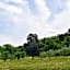 Mezzano In Chianti