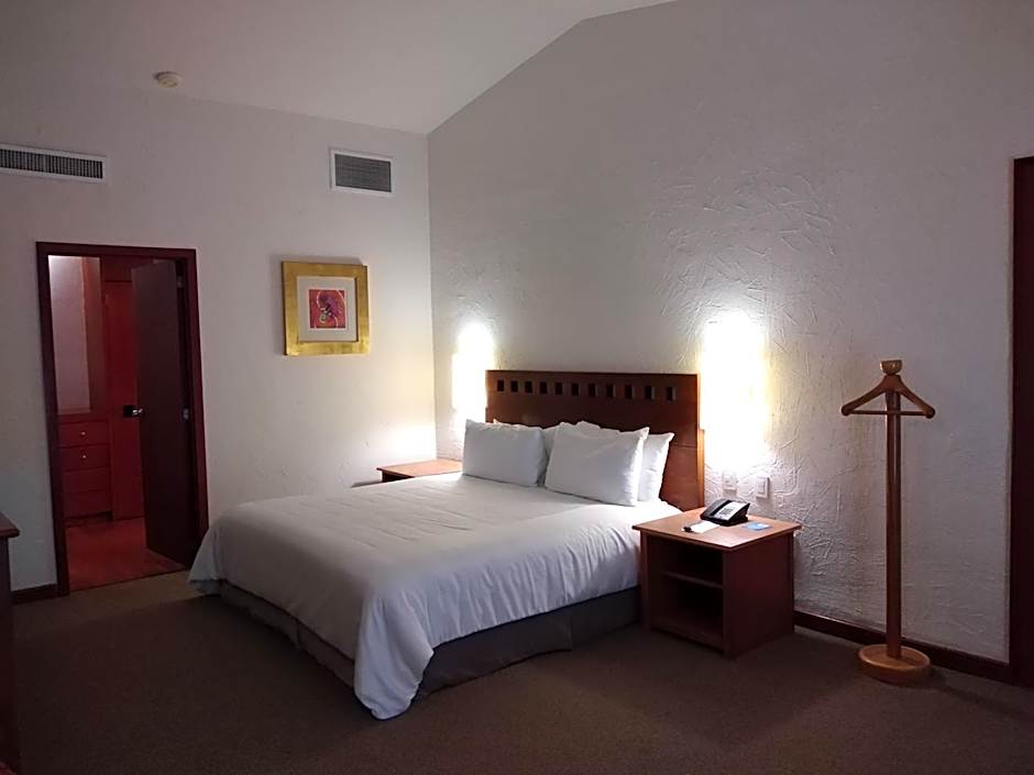 Camino Real Guadalajara