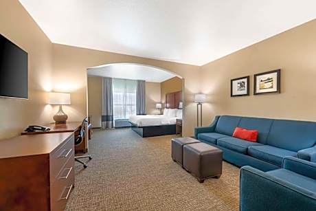 King Suite with Sofa-Bed and whirlpool tub - Non-Smoking