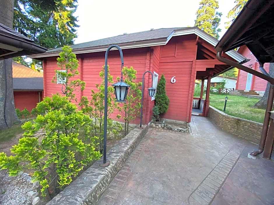 Alpin Borovets, Алпин Боровец