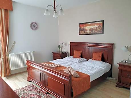 Double or Twin Room with Air Conditioning