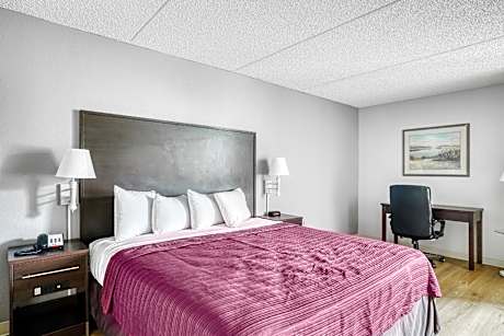 One-Bedroom Suite