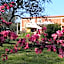 Il Giardino delle Esperidi