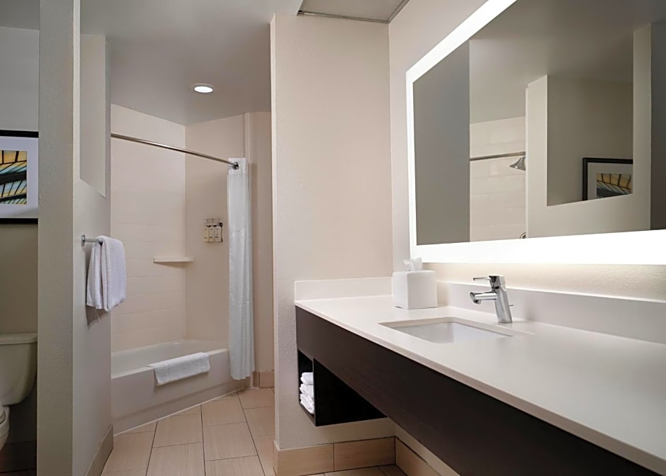 Holiday Inn Express and Suites New Orleans Airport