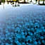 Exotic Sea Boutique Adults Only