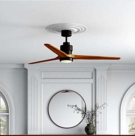 Queen Anne's Revenge