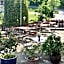Gasthof zur Burgruine