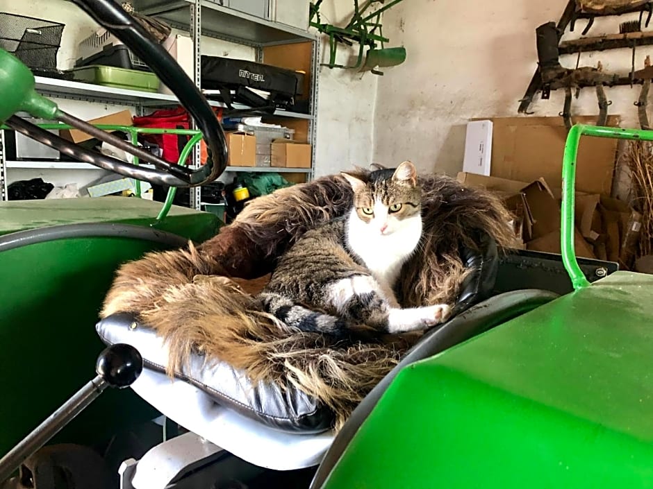 Bed & Breakfast Chez Lips