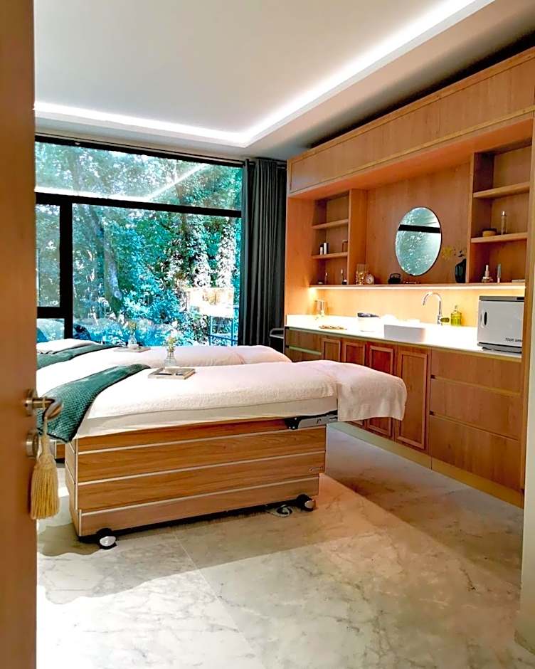 Château des Reynats