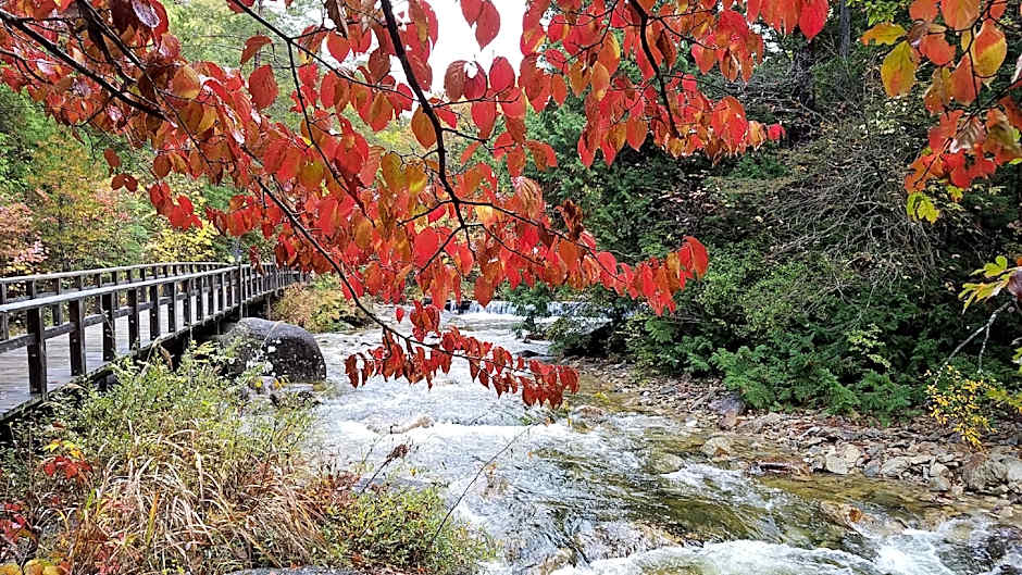 Shinshu Kaida Kogen Nishino Onsen Yamaka no Yu