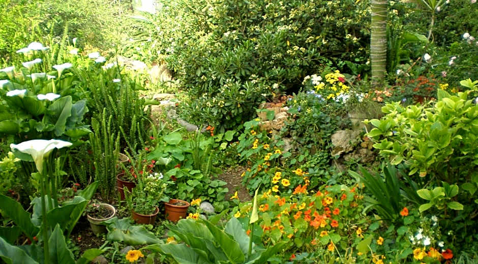 Il Glicine La Piana dei Colli