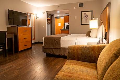 Superior Room 1 King Bed