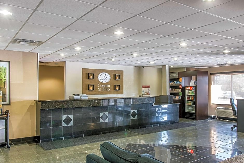 Comfort Suites Wixom