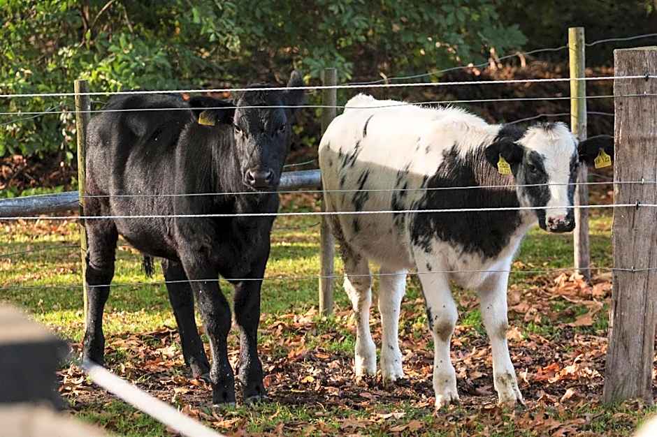 Hotel Fürstenberger Hof