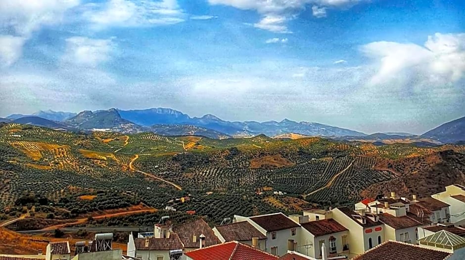 Olive Tree Guest House