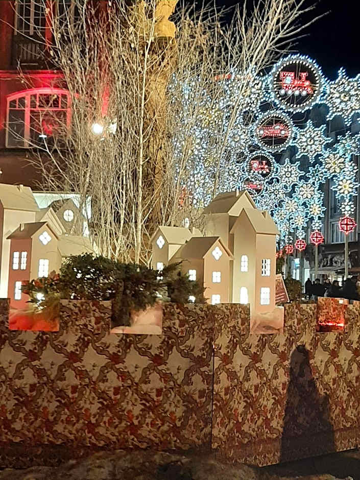 Brit Hotel Mulhouse Centre