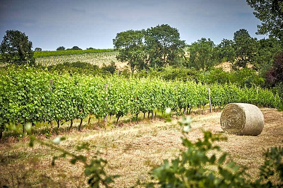 Les Jardins de l'Anjou