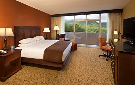 1 Kn Bed 2 Room Suite-Sofabed-2 Balconies