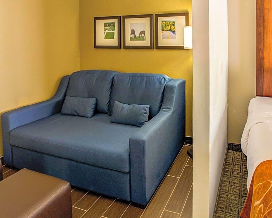 Comfort Suites Georgetown