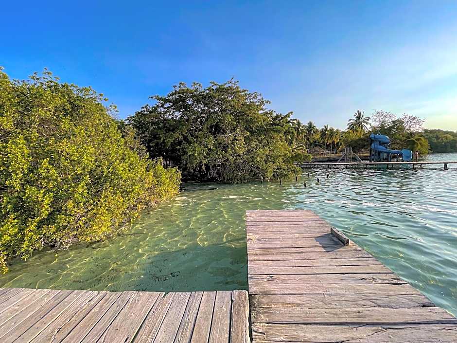 Bufo Alvarius Sanctuary Bacalar