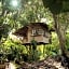 Roots Tree House