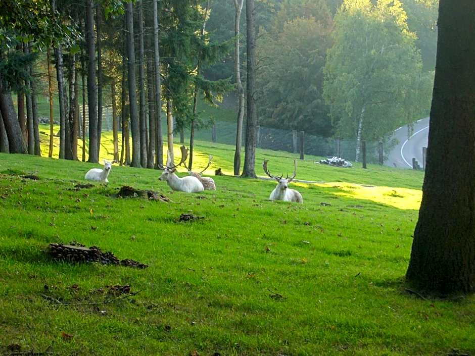 La Maison des Fontaines d'Alsace