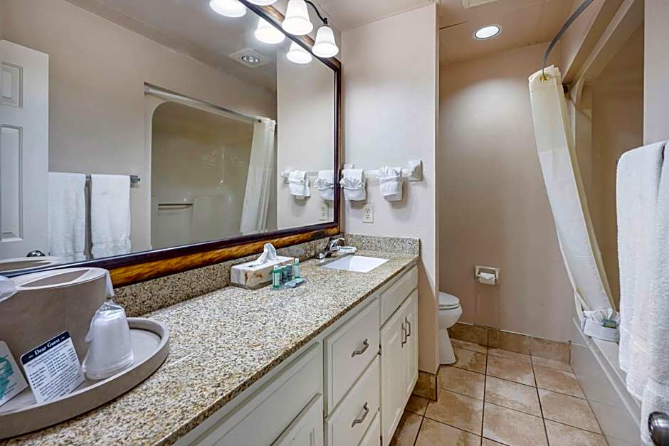 Best Western Spring Hill Inn & Suites