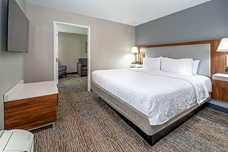 1 King Bed 1 Bedroom Fireplace Suite