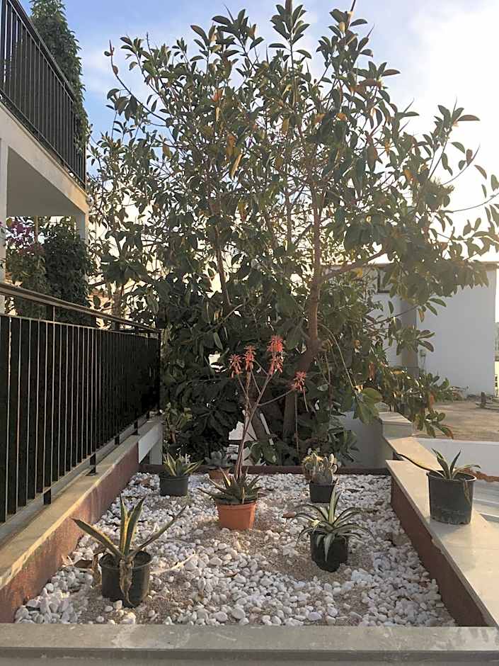 By Muhtar Hotel Bodrum