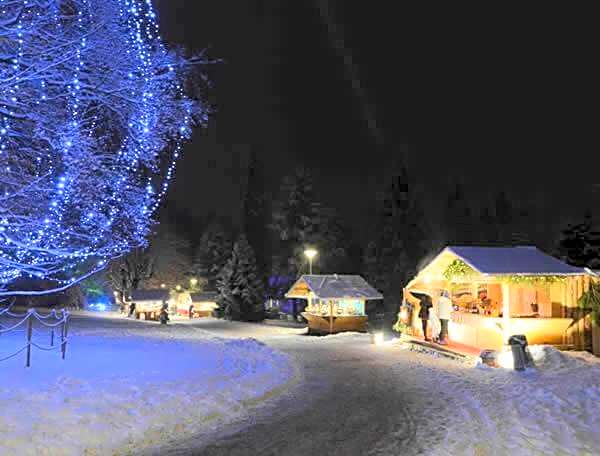 Nature Bio Hotel Elite