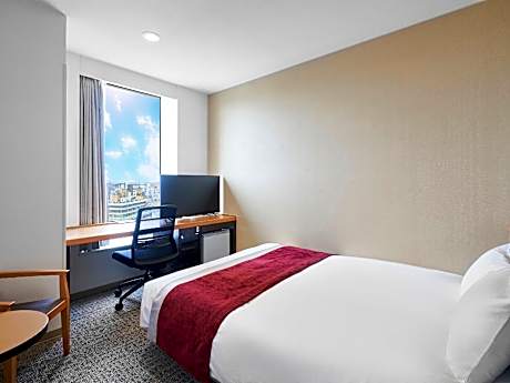 Large Double Room for 1 Person - Non-Smoking