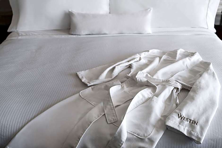 The Westin Baltimore Washington Airport - BWI