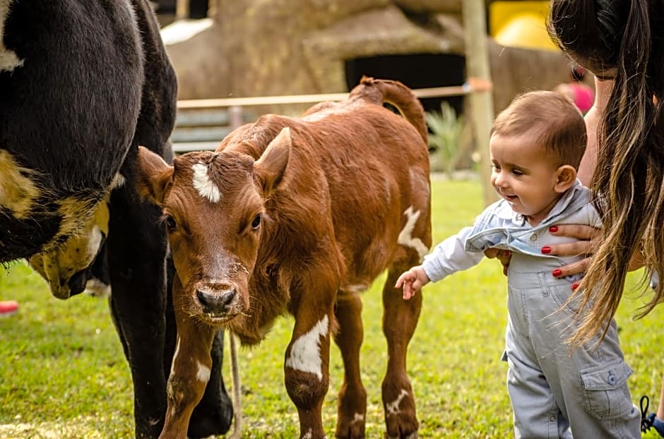 Hotel Fazenda Dona Francisca