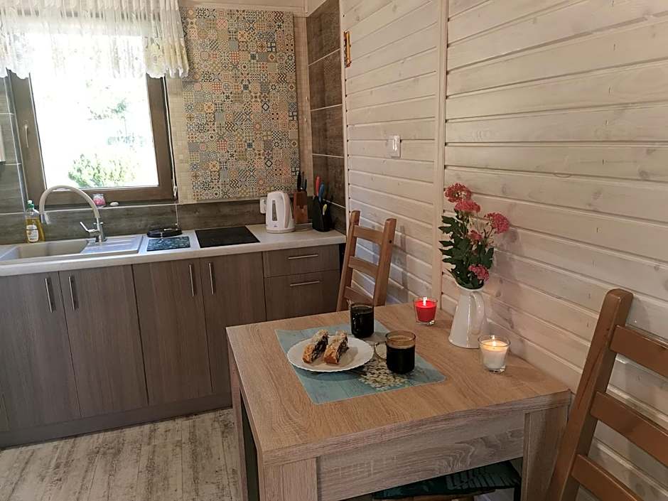 Domki Borowiackie nad brzegiem jeziora