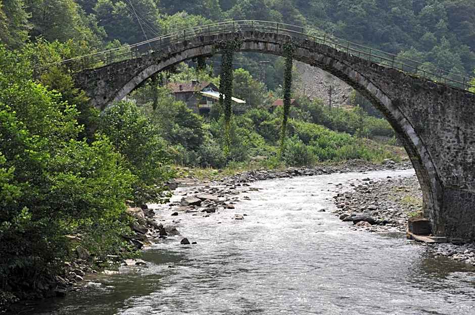 Ayder Hasimoglu Hotel