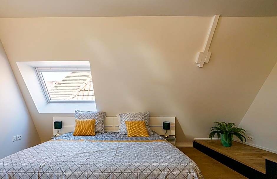 Les Camuches de la banque - Appartements privatifs de 35 à 75 m2 avec patios - Centre ville
