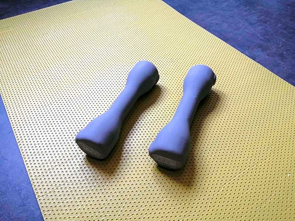 ibis Styles Tours Sud