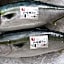 湯の里いけもり別館 天座