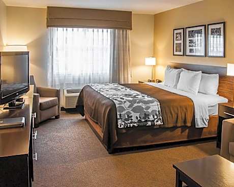 1 King Bed Nonsmoking