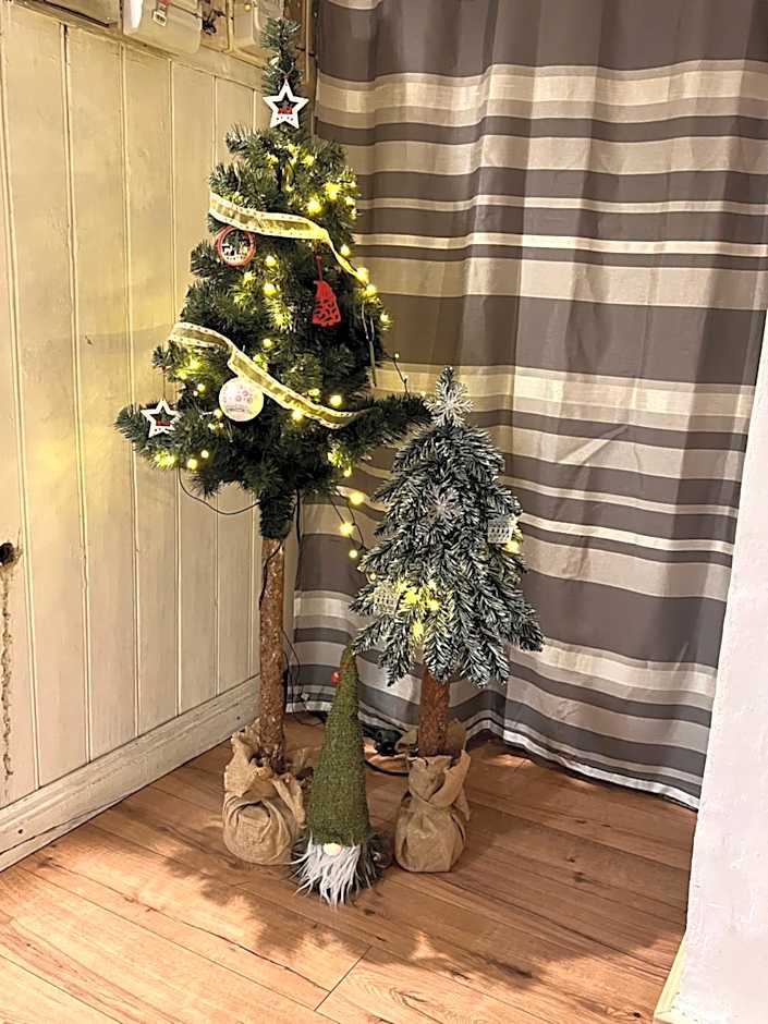 Willa Jasna Apartamenty centrum Zakopane