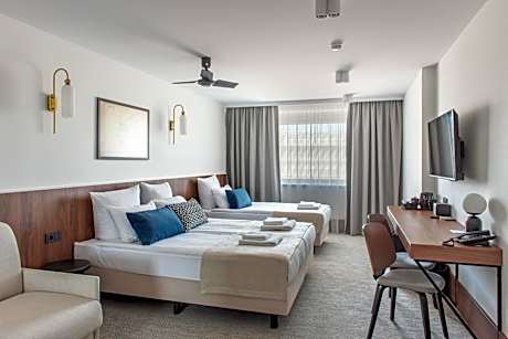 Business Triple Room with Extra Bed