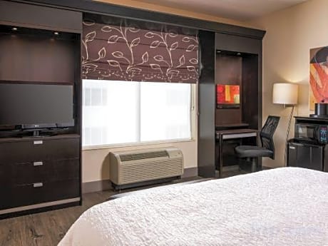 Hearing Accessible Non-Smoking 1 King Bed