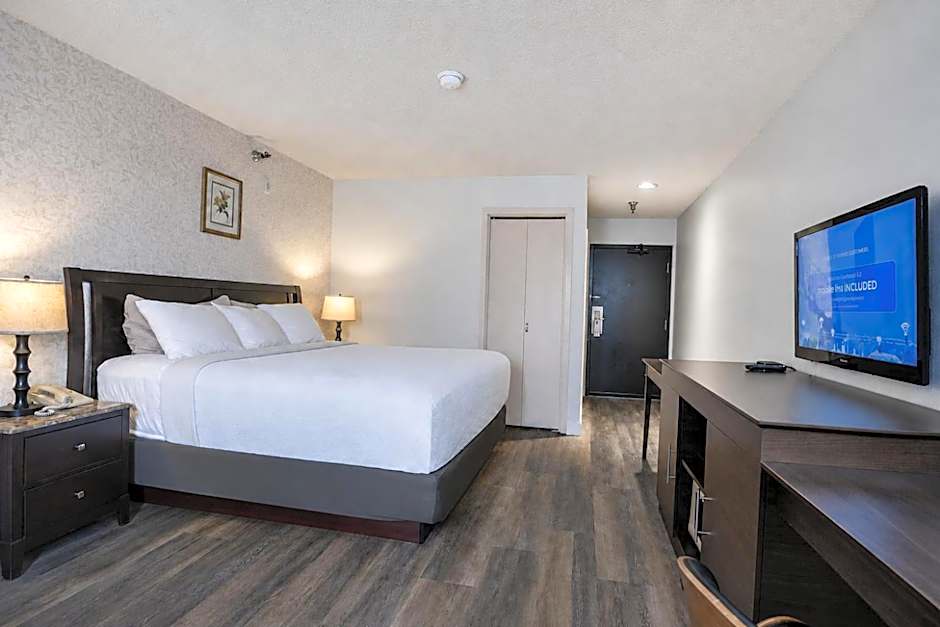 Hotel International