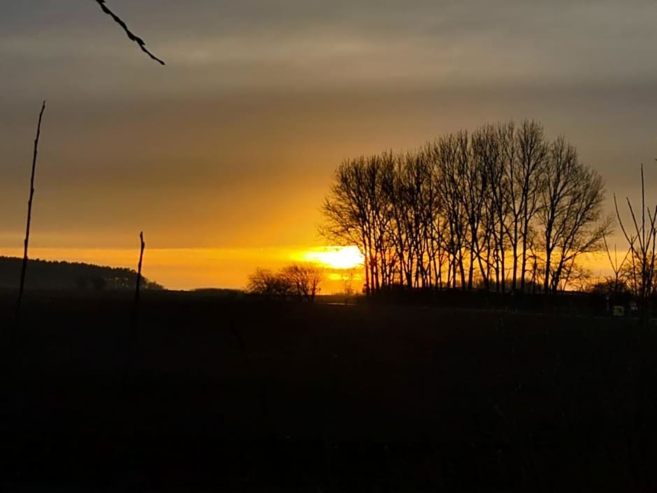 Gasthof & Hotel Heidekrug