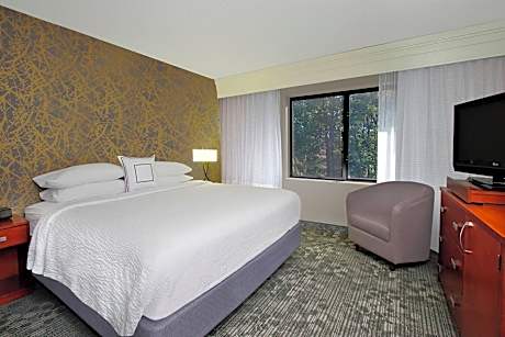 Suite, 1 Bedroom (1 King Bed and 1 Double Sofa Bed)