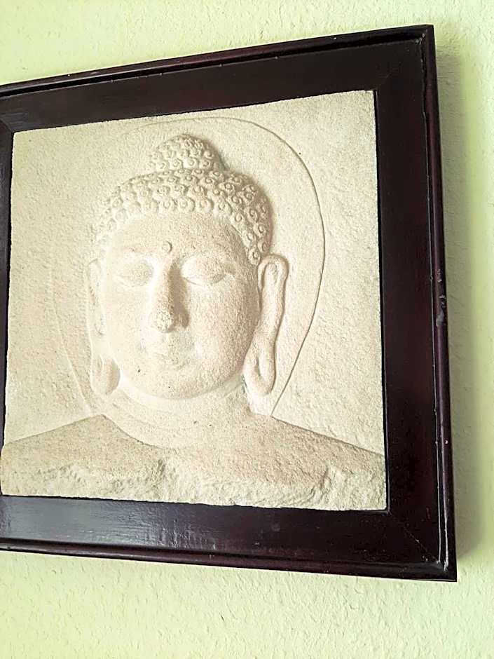 Hostel Lollis Homestay Dresden