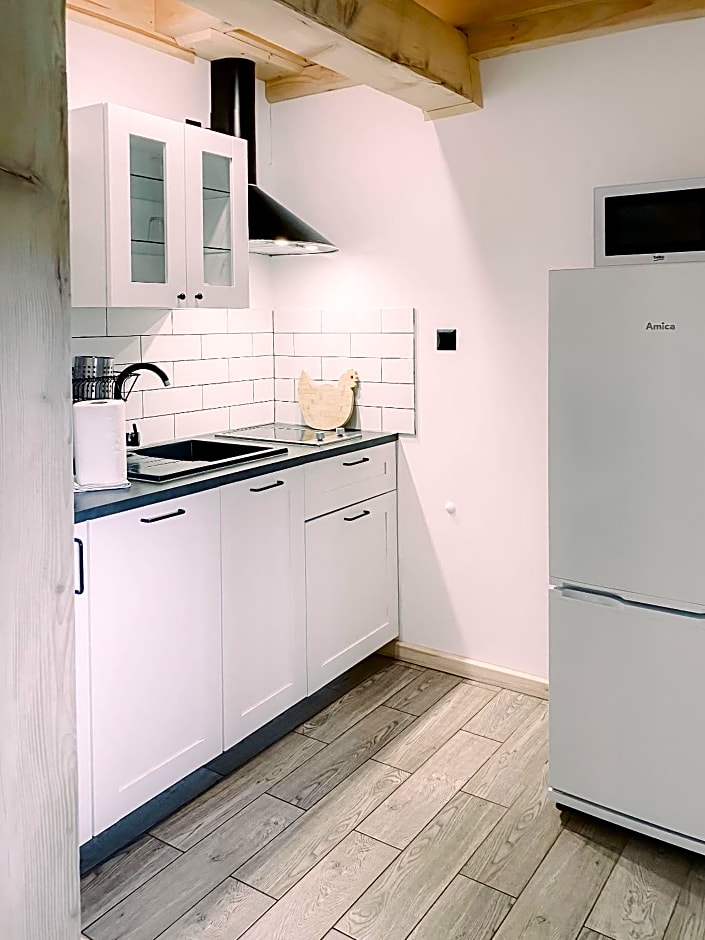 Bieszczadzkie Chatki - Willa Stasia