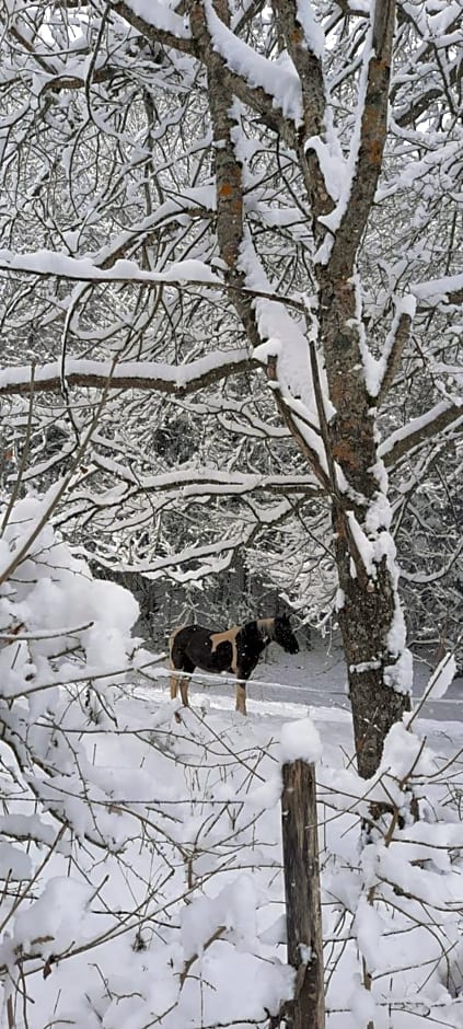 Les Vagabonds du Mont